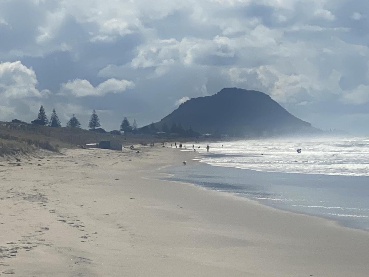 Superb Beachside Location, Private And Tranquil Lägenhet Mount Maunganui Exteriör bild